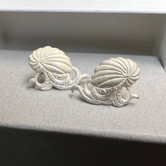 Pierced earrings
